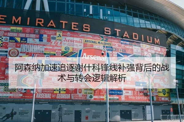 阿森纳加速追逐谢什科锋线补强背后的战术与转会逻辑解析
